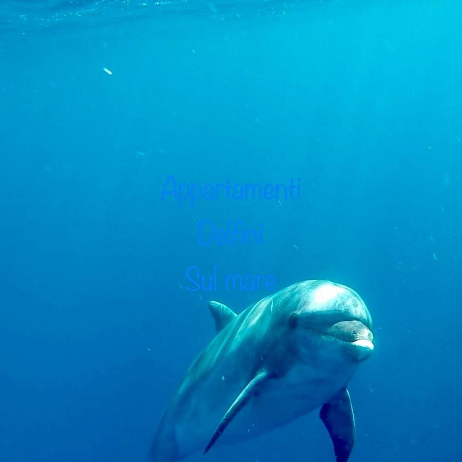 Appartamento Delfino Azzurro Golfo Aranci Buitenkant foto